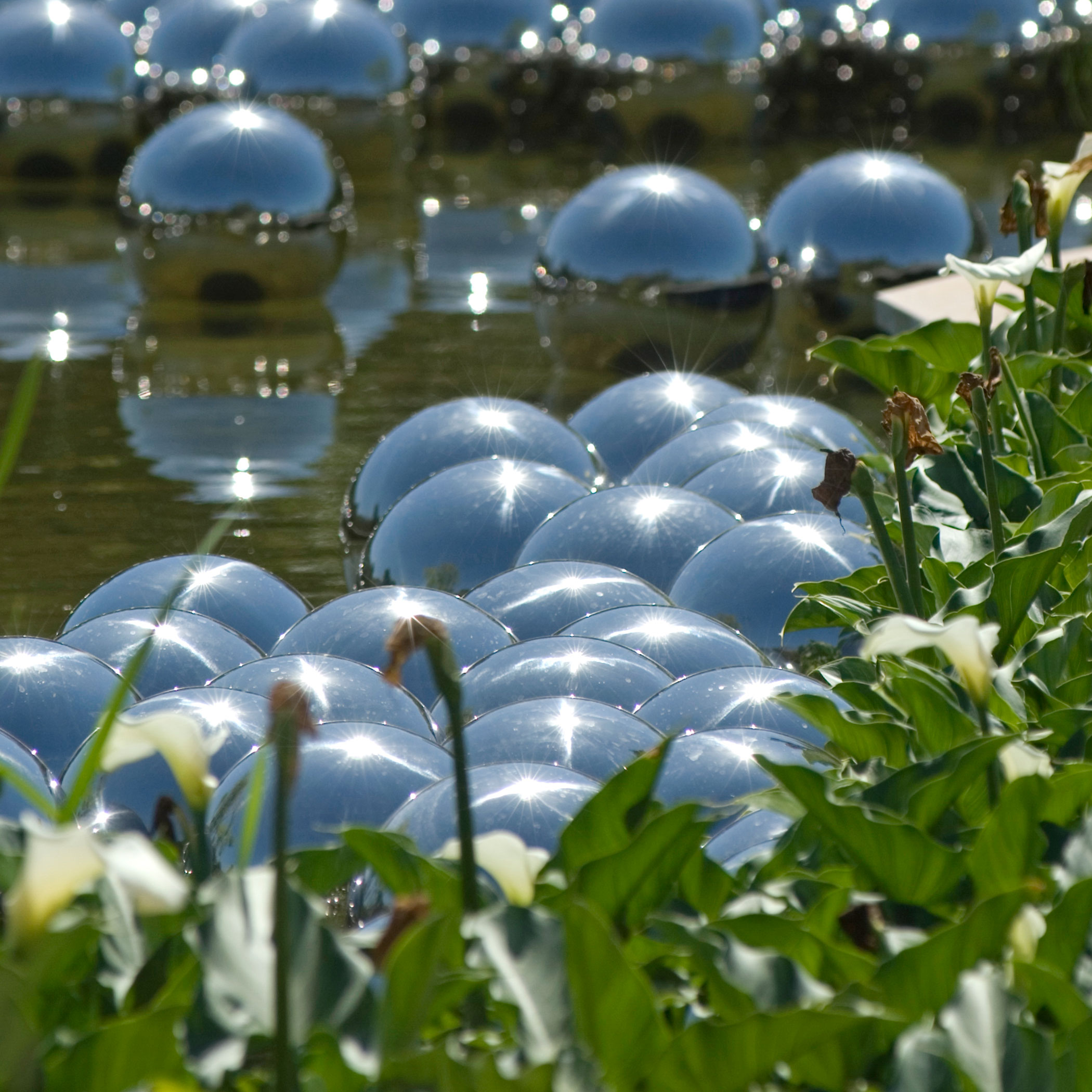 Jardim de Narciso Yayoi Kusama no Inhotim