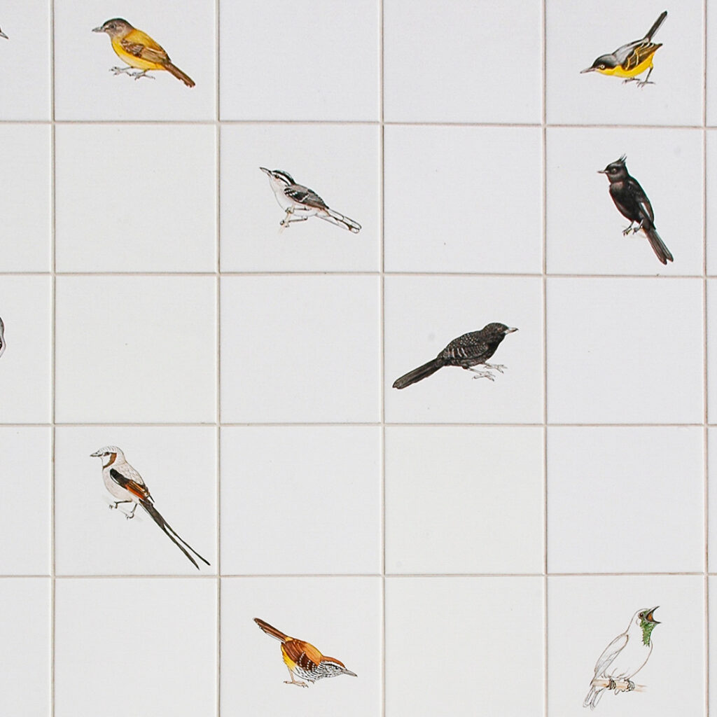 Adriana Varejão, Passarinhos – de Inhotim a Demini, 2004-08, [detalhe],  pintura sobre azulejo, 100 x 382 cm. Foto: Vicente de Mello