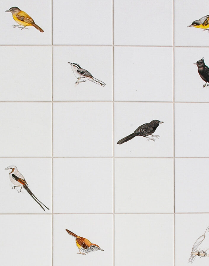 Adriana Varejão, Passarinhos – de Inhotim a Demini, 2004-08, [detalhe],  pintura sobre azulejo, 100 x 382 cm. Foto: Vicente de Mello