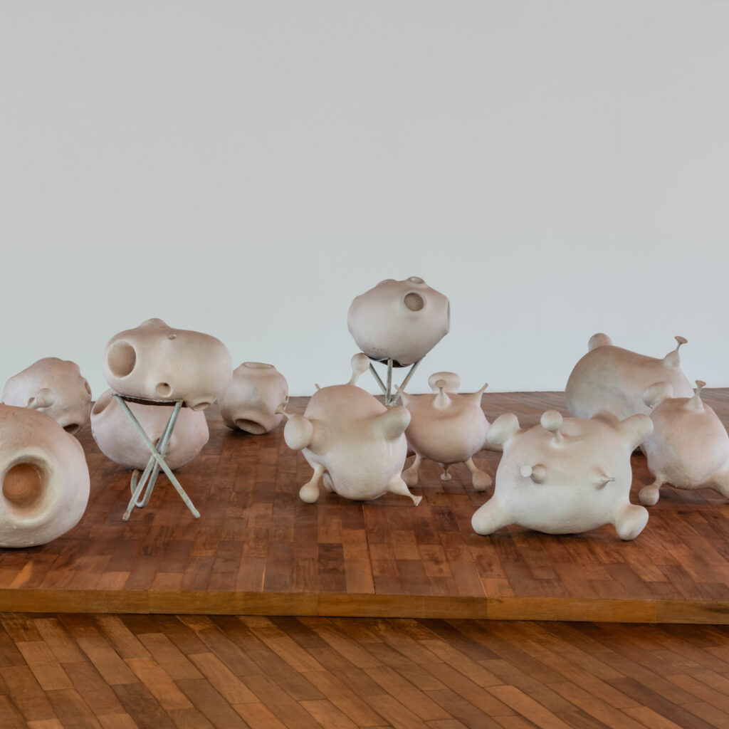 Obra Prole do bebê, 2000, de Tunga. Acervo de arte contemporânea Inhotim