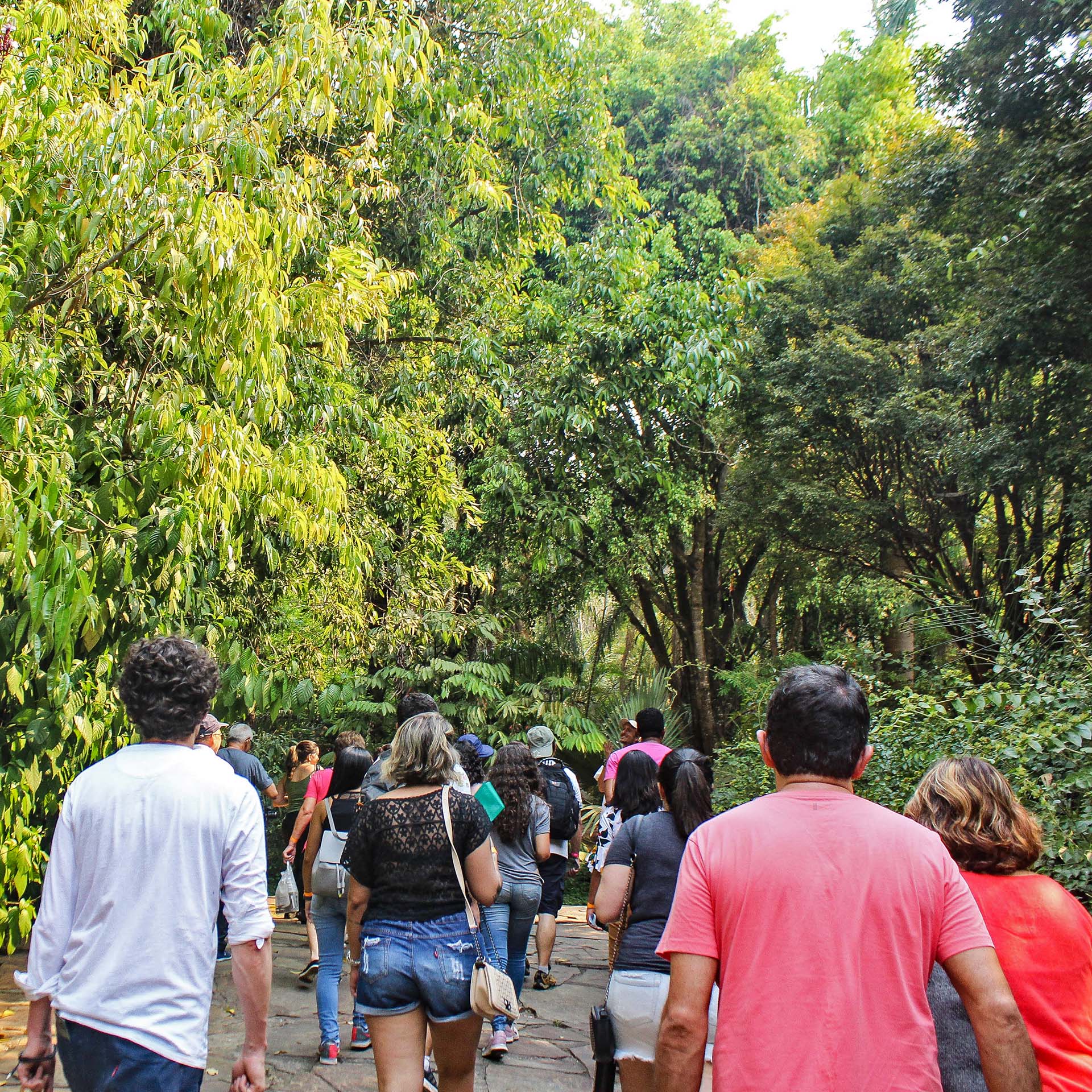 foto bastidores do vivero