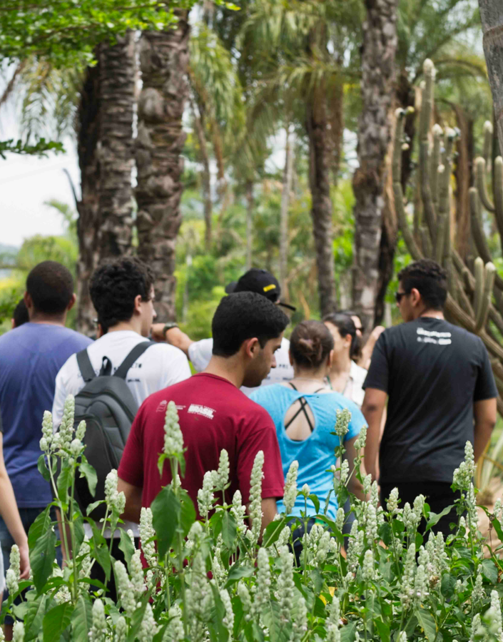  Atividade educativa propõe a ideia de fazer um retrato falado de espécies botânicas presentes no parque. Foto William Gomes