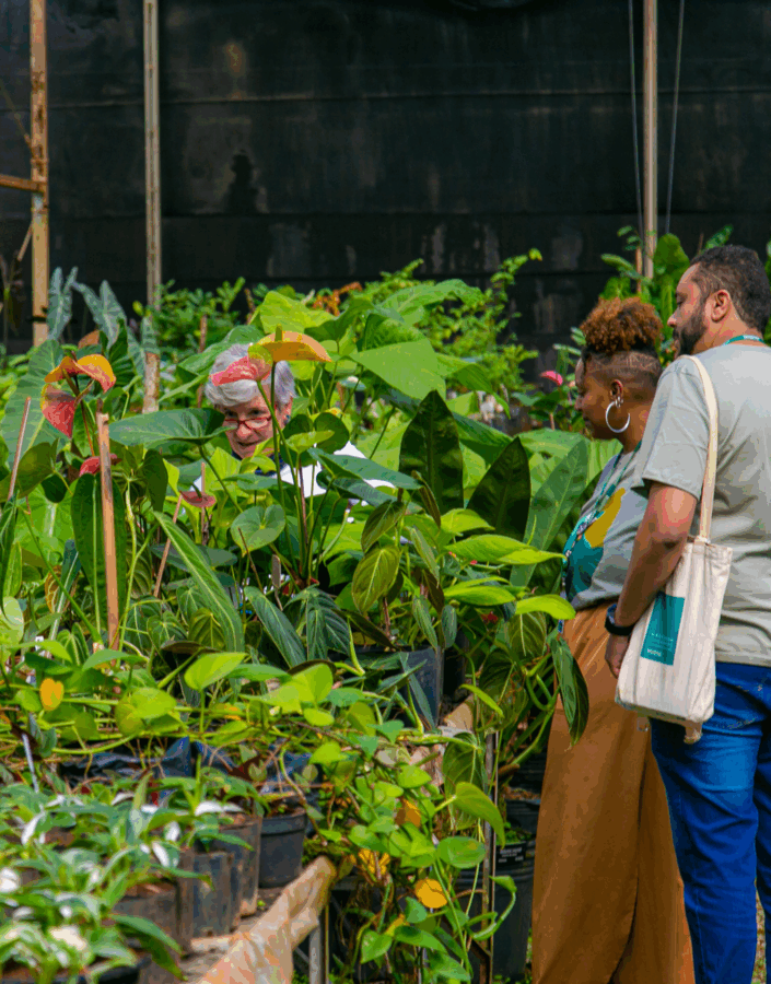 This series of events encourages social and environmental engagement. Photo: Carolina Evangelista