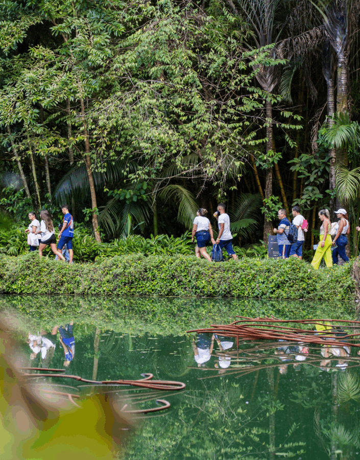 Participe da Visita Temática do Inhotim: gratuita para visitantes e destinada a pessoas de todas as idades. Foto: Brendon Campos