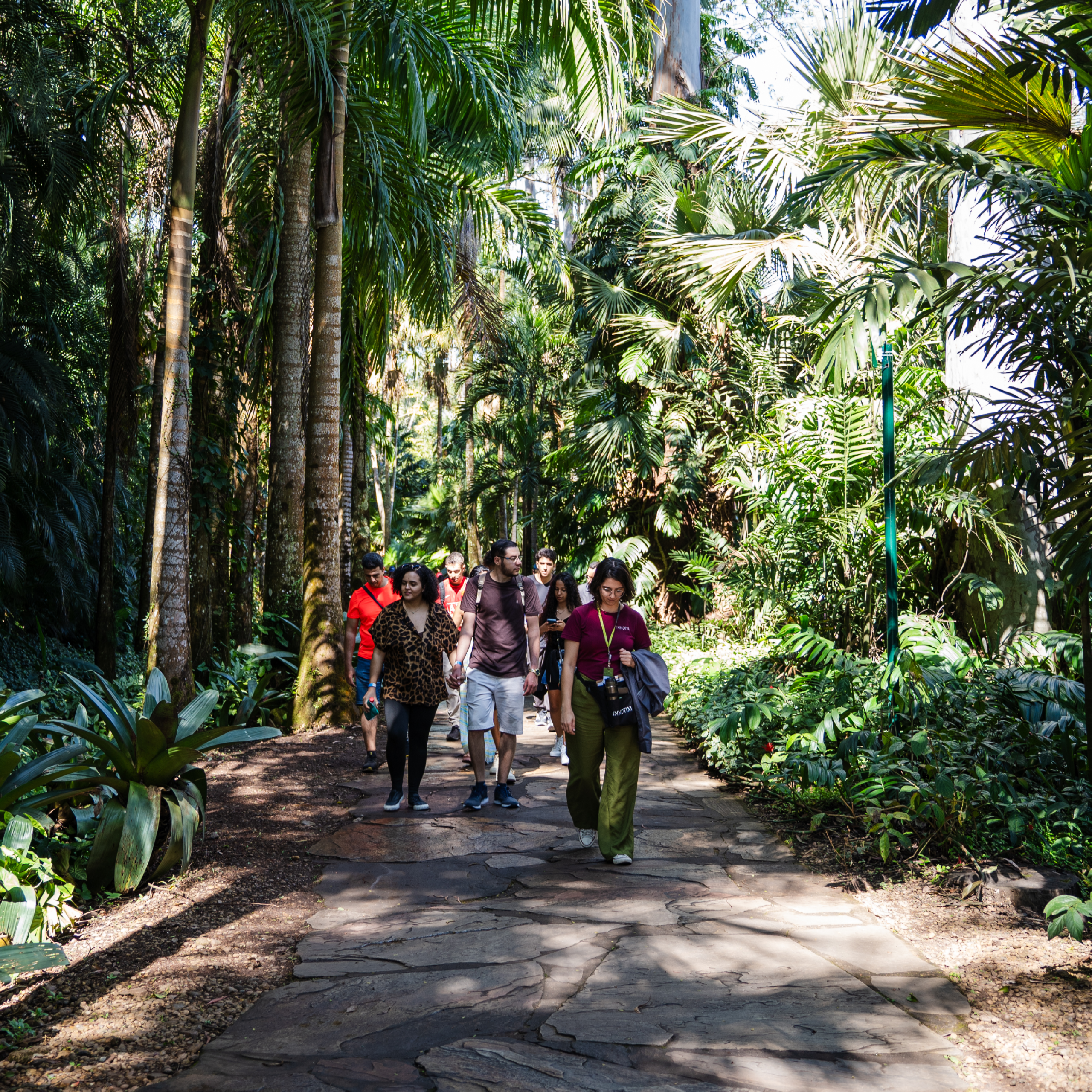 Join us for Inhotim’s Themed Visit. It's free for all visitors and suitable for all ages. Photo: Brendon Campos