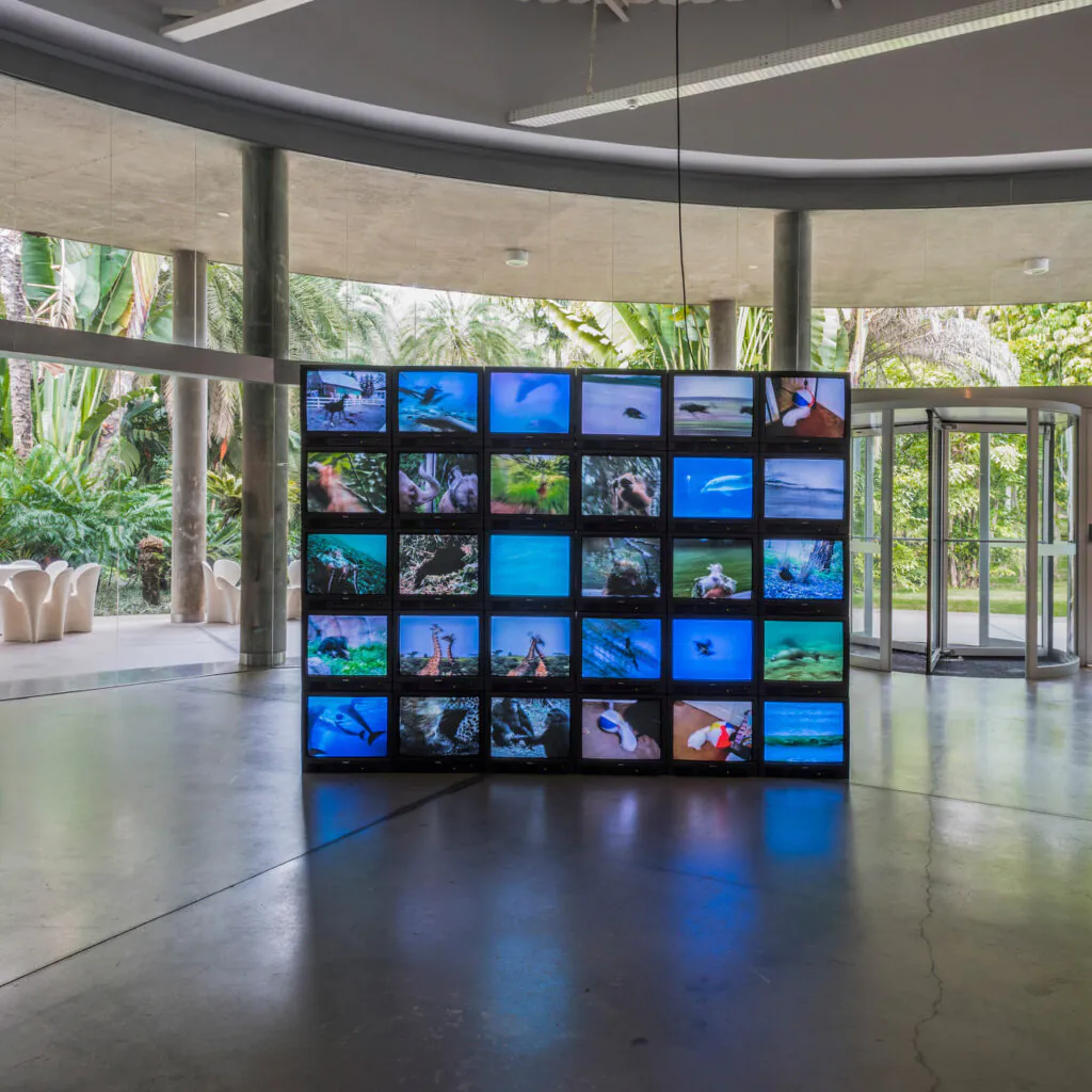 Peter Coffin, Sem título, 2008, na exposição "Para ver o tempo passar" (2018). Foto: Daniel Mansur