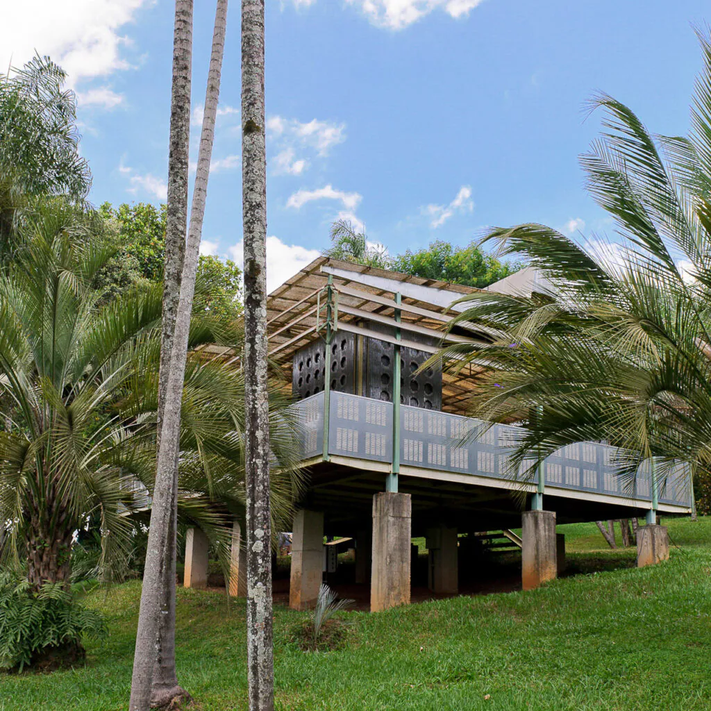 Rirkrit Tiravanija, Palm Pavilion, 2006-08, [vista externa], metal, madeira, palmeiras, materiais diversos, dimensões variáveis.  Foto: William Gomes