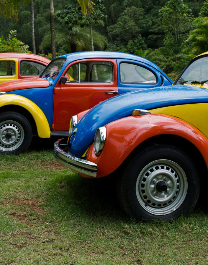 Jarbas Lopes, Troca-troca, 2002, [detalhe], 3 fuscas com aparelhagem de som, dimensões variáveis.  Foto: William Gomes.