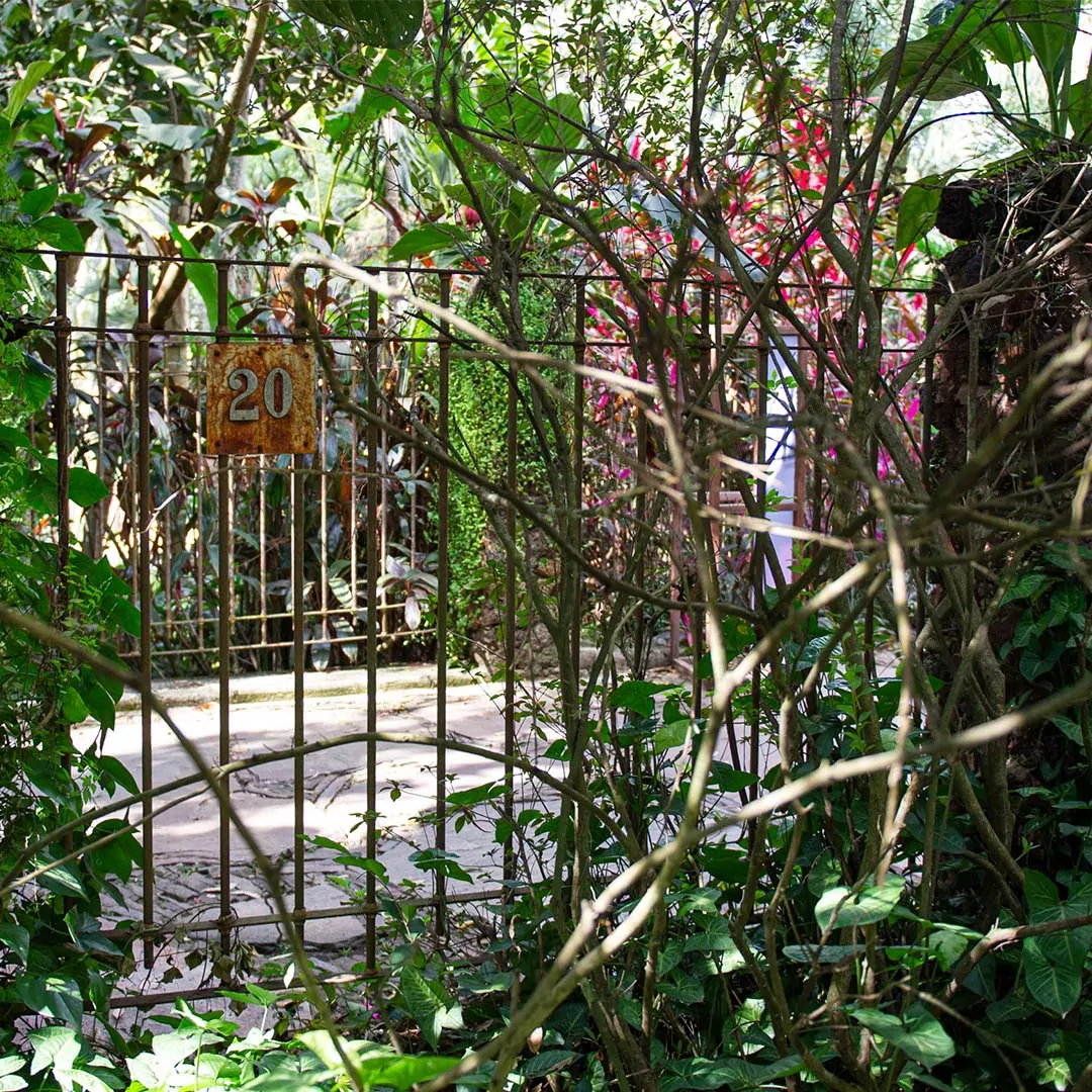 O endereço do Inhotim é Rua B, 20. Já reparou nesse numeral presente na alameda, logo após o Café das Flores? Essa era a entrada da antiga fazenda, antes do Inhotim ser concebido. Foto: William Gomes