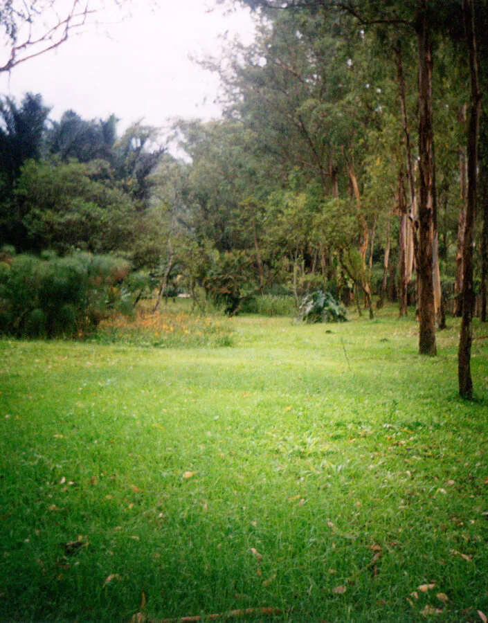 Raquel Garbelotti, A clareira, 2000, fotografia, 100 x 150 x 8 cm